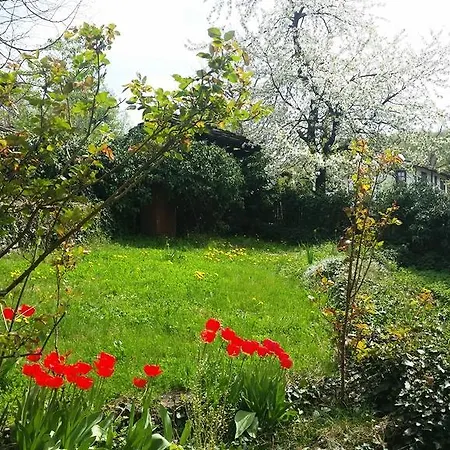 Nyaraló Hadji Karanlukova's House Bozsenci